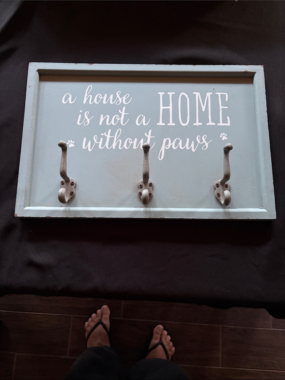 Vintage Blue 'A House Is Not A Home Without Paws' Wall Hook Rack
